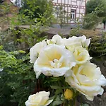 Schloss - Mit Privatgarten, Fellnasen Willkommen! *