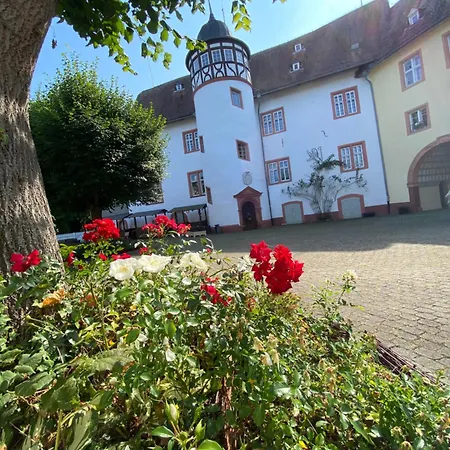 Schloss - Mit Privatgarten, Fellnasen Willkommen!