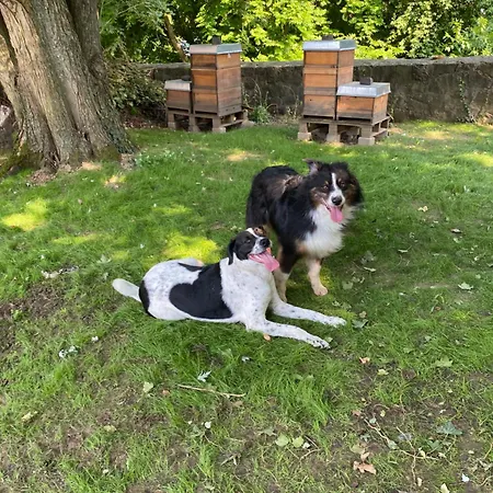 Schloss - Mit Privatgarten, Fellnasen Willkommen! * Nidda