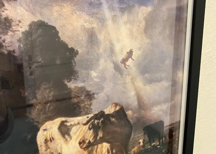 Schloss - Mit Privatgarten, Fellnasen Willkommen! アパート *